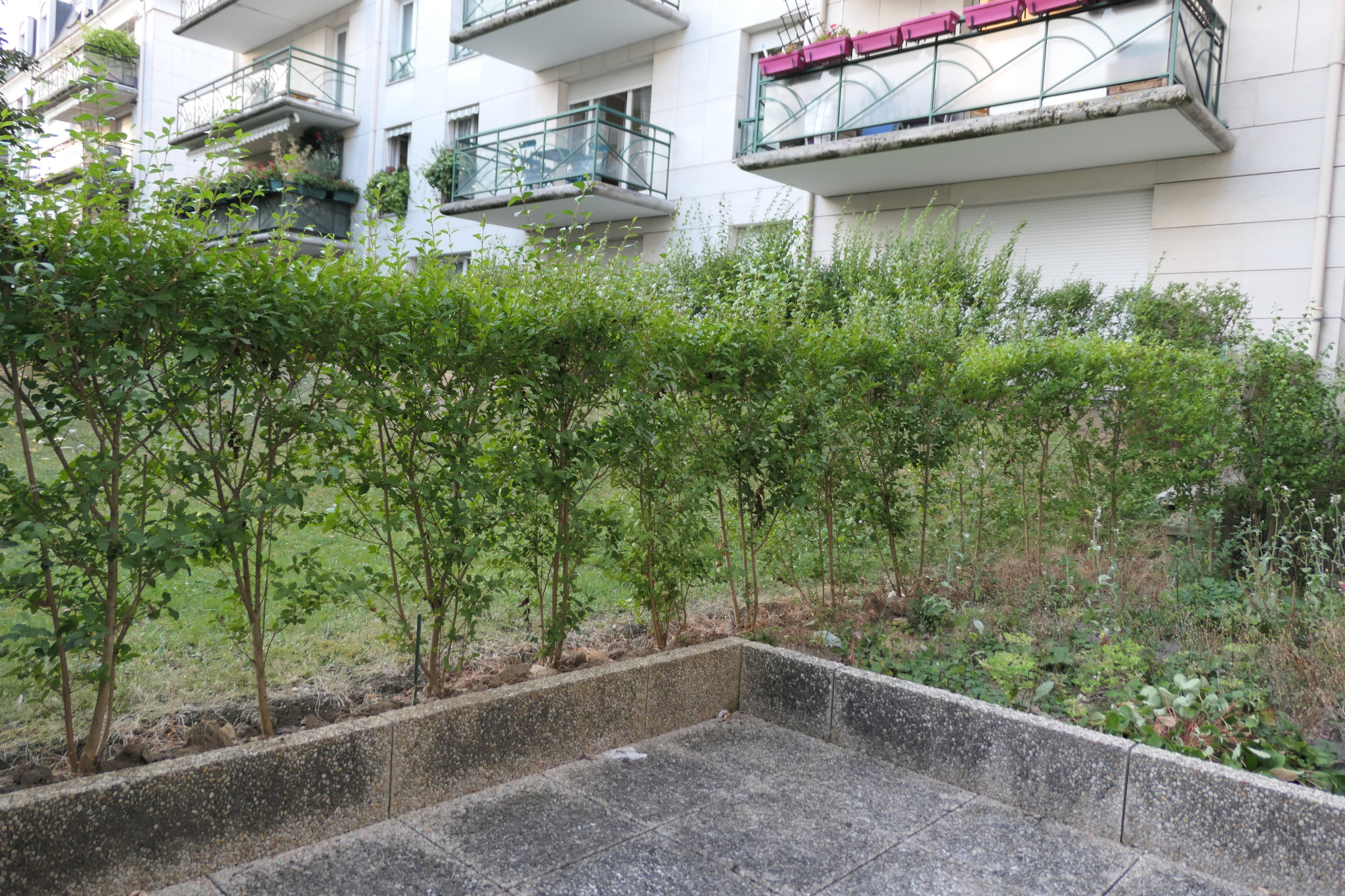 MAISONS ALFORT – CENTRE – STUDIO